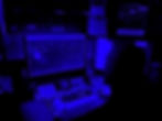 donald_white_edited.jpg