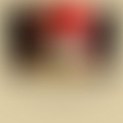 Il fallimento delle pratiche