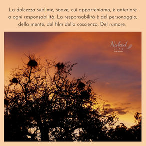 Ogni coordinata è perduta