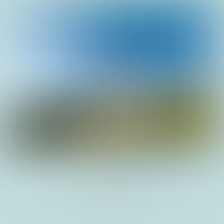 La libertà è la follia di non possedere nulla