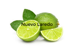 Nuevo Laredo