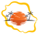 solaire reunion (3).png