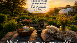Don’t Expect Access to Make You Money