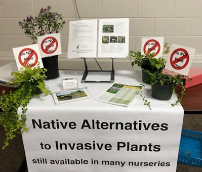 nativetable.png