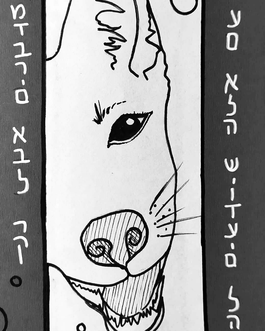 איור ~ חברים על ארבע
