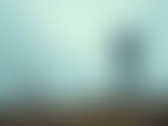 The Value of Certified Weather Data