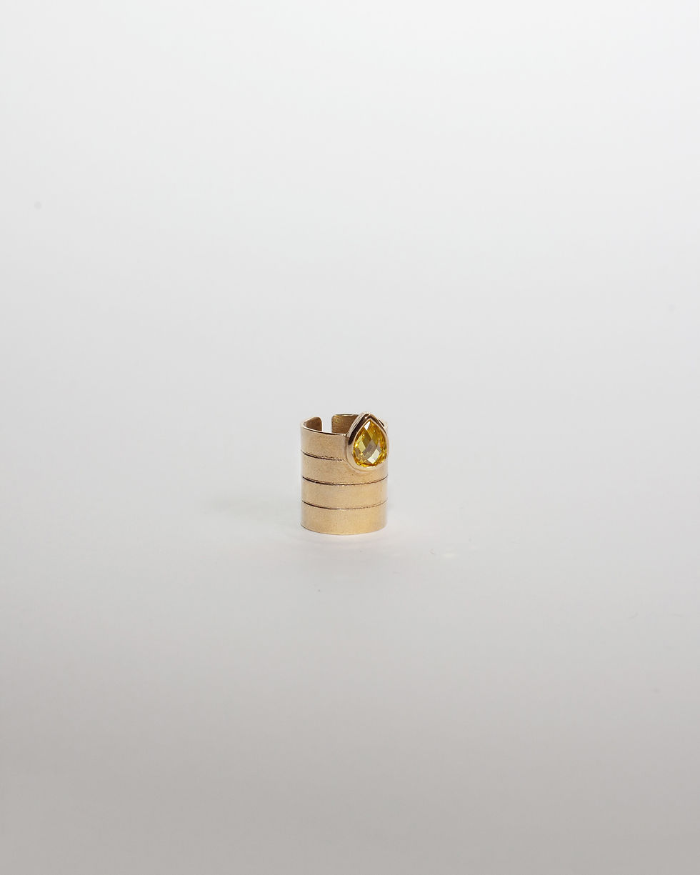 Miniatura: ARIA