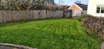 IMG_20211125_135640.jpg