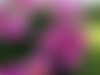 Kaiju in the Garden: Lethbridge Nikka Yuko