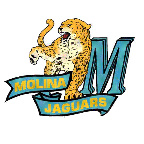 Molina Mascot.gif