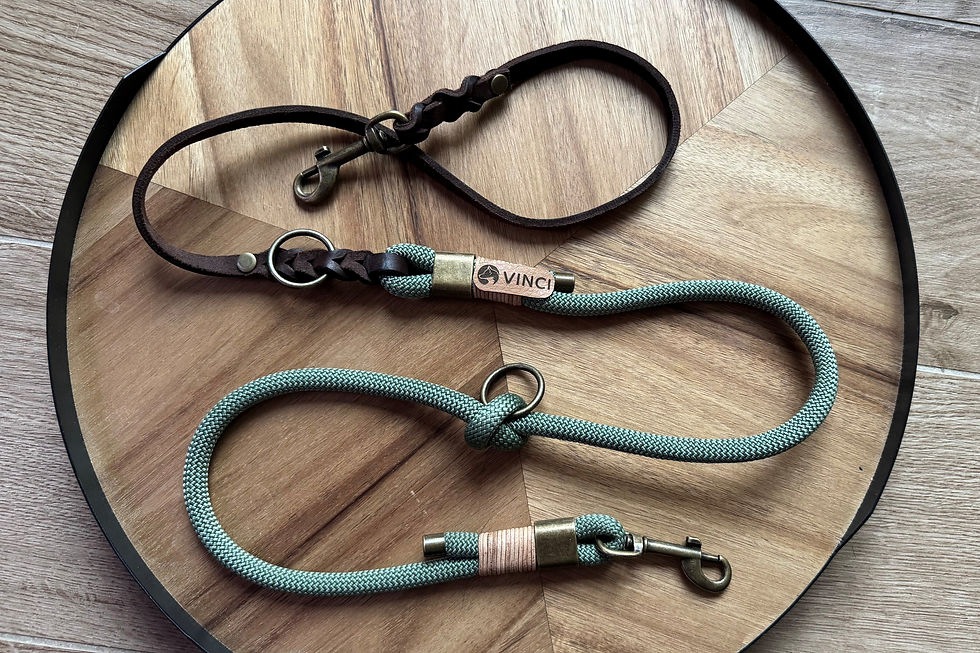 Leine Salbei & Leder dunkelbraun