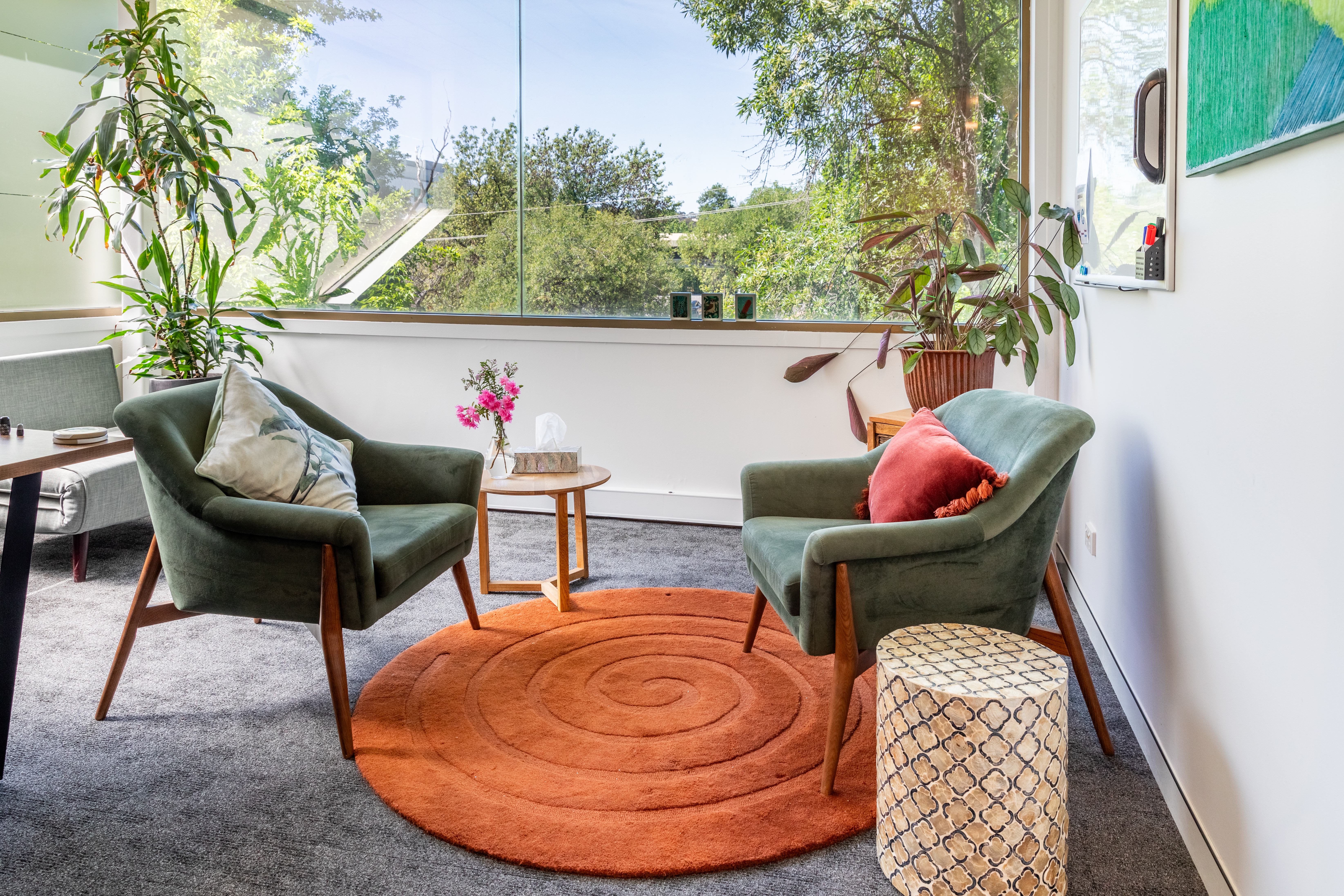 Thesiger Court therapy room