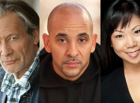 Three Actors Reveal Their Transition from Military to Civilian using Theater