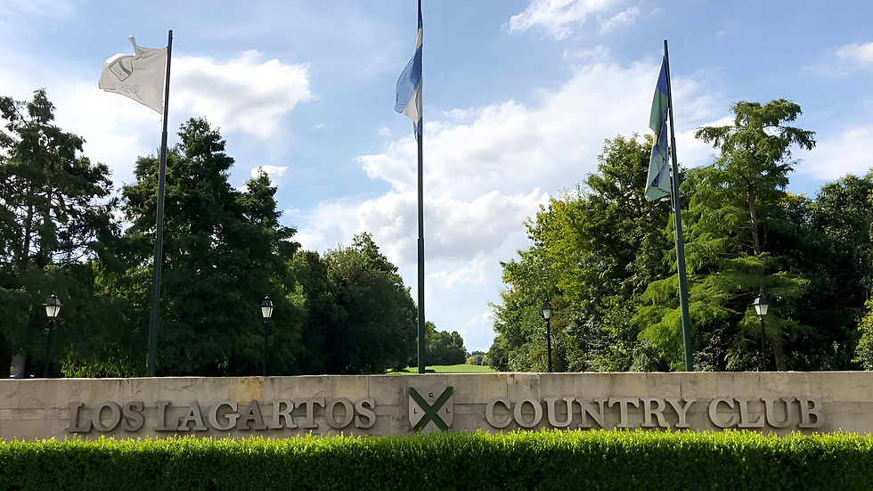 pixelcut-export (2).jpeg