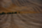 AdobeStock_407001922.jpeg