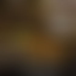 A Changing Industry: Apple Growing in the Foothills