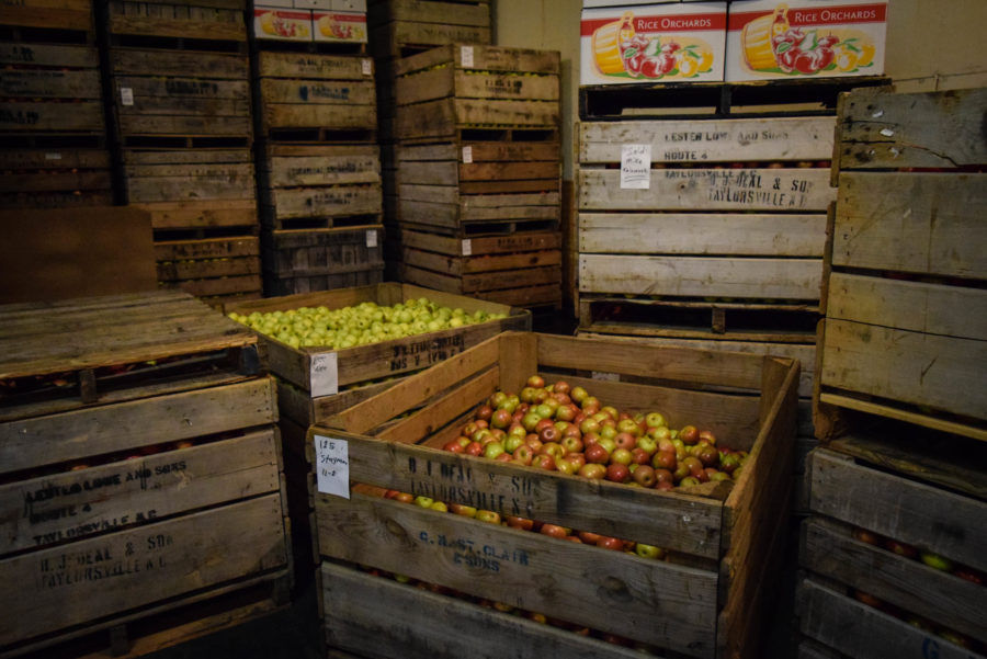 A Changing Industry: Apple Growing in the Foothills