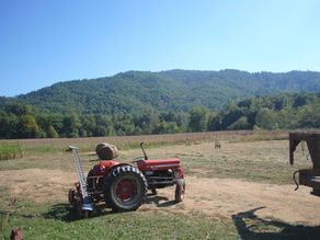 Local Franklin Farmer Profile: Joe Deal