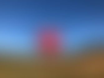 Fly Away at the Carolina BalloonFest