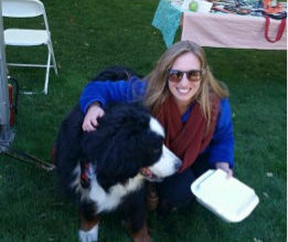 The Apple & Bernese Dog Festival