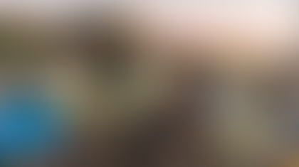 NC State Fair: Balling on a Budget, as the Kids Say