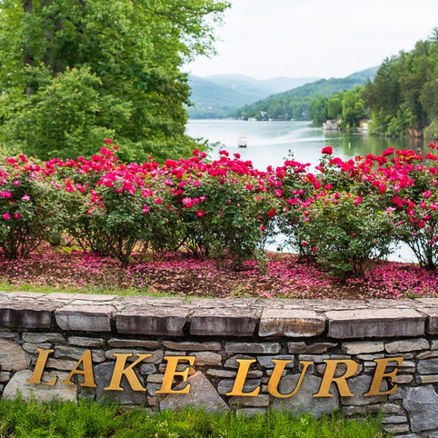 The Winding Road to Lake Lure