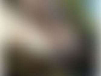 Turn a Corner, Discover Bridal Veil Falls