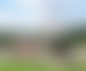 Do What You Know, Do What You Love