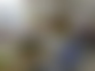 Rocky Mount Farmer's Market