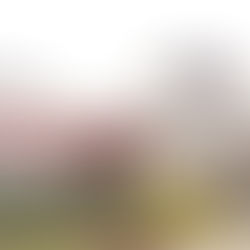 Review of Highway 64 Diner