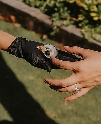 Caviar-Event-Service-Oysters-Hawaii_0040.jpg