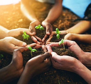The-Catalyst-Club-Volunteering-Opportunities-for-Kids-Oahu-Hawaii-Cultivate-Hope-3.jpg