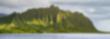 OConnor-Law-Oahu-Honolulu-Civil-Litigation-Hawaii-Dennis-OConnor-Harbor-_0053.jpg