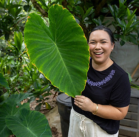 Maona-Nutrition-Kealohi-Naipo-Native-Hawaiian-Nutritionist-Registered-Dietician-Hawaii-Tel