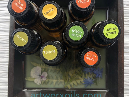 The ANTI Antibiotic Protocol 