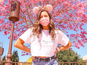 8 Tips For Taking Photos in Disney
