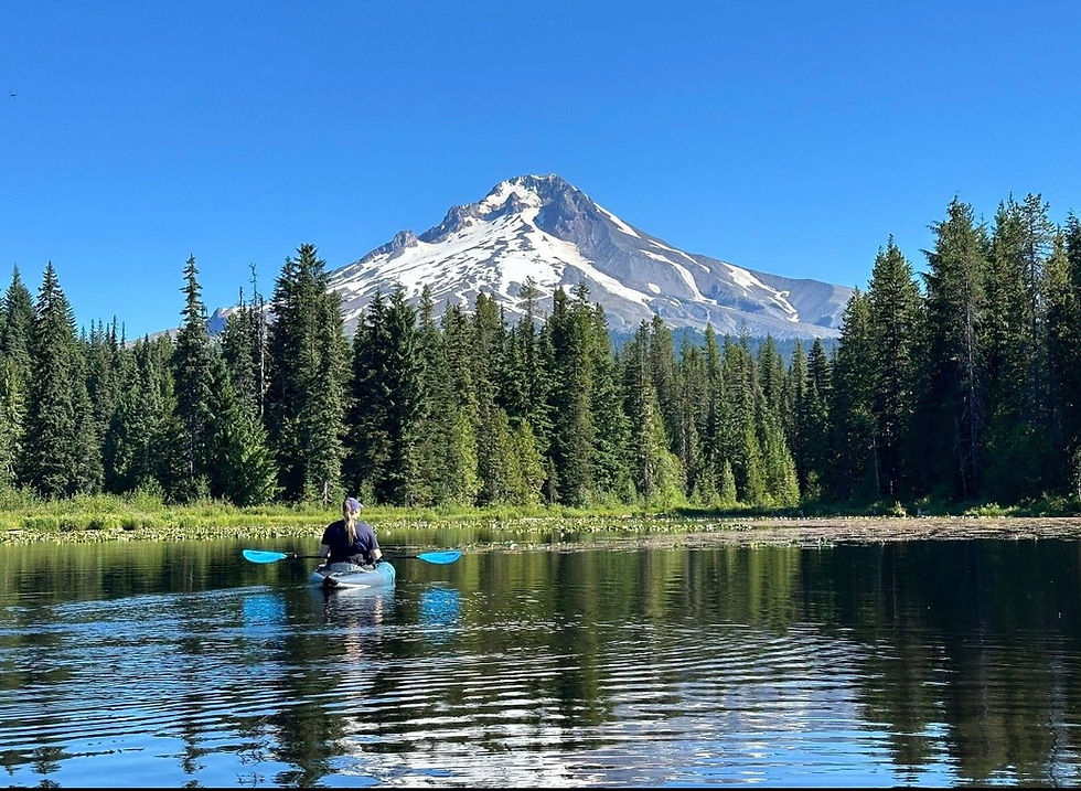 Welcome to the Evergreen Digital Wellness Practice