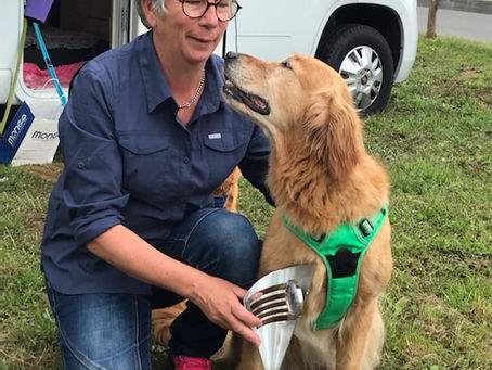 Concours à St Cyr le 11/07/2021