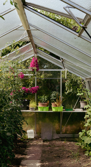 Verse groenten en kruiden uit eigen tuin en kas worden gebruikt in de gerechten bij Restaurant De Zeeuwse Kust in Nieuwvliet