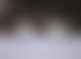 2025 WE/5 Winter: Qigong/Kontemplation (Schweigekurs) 28.11.-30.11.2025