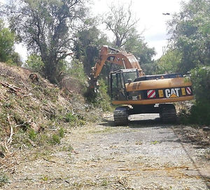 LIMPEZA%20FLORESTAL%202_edited.jpg
