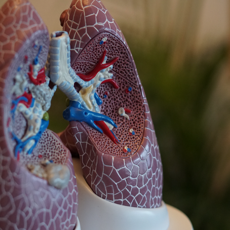 Client Success Stories: Enhancing Digital Health Solutions for Obstructive Sleep Apnea