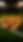 1CF69187-3847-4F29-AC5E-A4F8F066D732.png