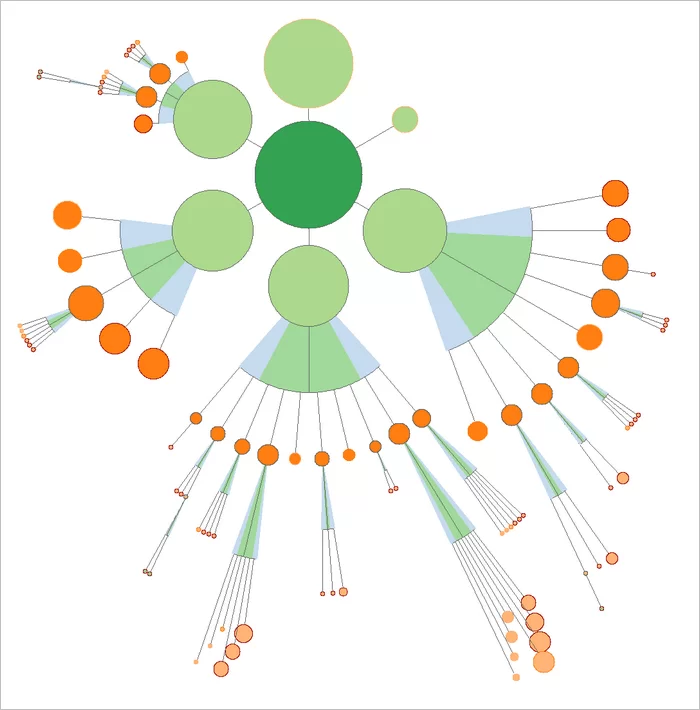 Visualisation de cocons sémantiques