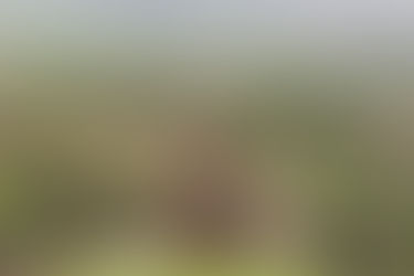 Hoe maak je doelgerichte content voor elke fase van de customer journey?