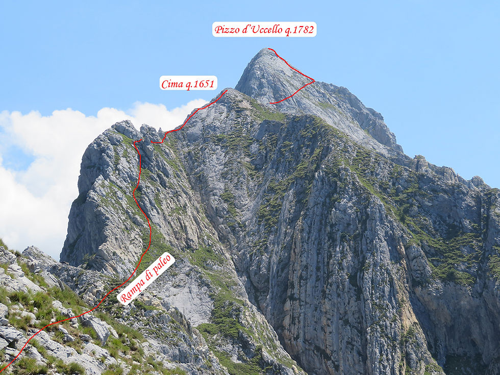 Cresta di Nattapiana (Pizzo d'Uccello)