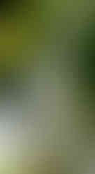 riego agua de los anillos