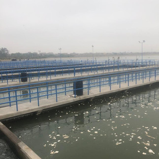 aguas negras sedapal