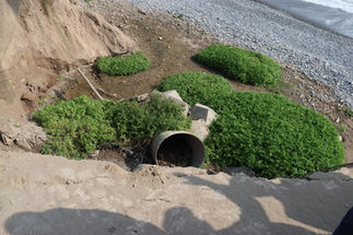 Inspección ocular: Desfogue del canal Lince en la Playa Los Delfines