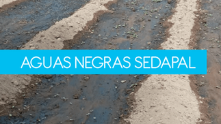 Aguas negras SEDAPAL